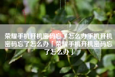 荣耀手机开机密码忘了怎么办手机开机密码忘了怎么办「荣耀手机开机密码忘了怎么办」