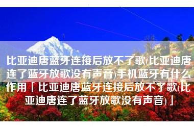 比亚迪唐蓝牙连接后放不了歌(比亚迪唐连了蓝牙放歌没有声音)手机蓝牙有什么作用「比亚迪唐蓝牙连接后放不了歌(比亚迪唐连了蓝牙放歌没有声音)」