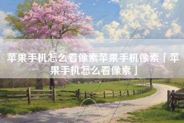 苹果手机怎么看像素苹果手机像素「苹果手机怎么看像素」