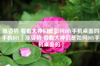 涨姿势 看看大神们是如何DIY手机桌面的手机DIY「涨姿势 看看大神们是如何DIY手机桌面的」