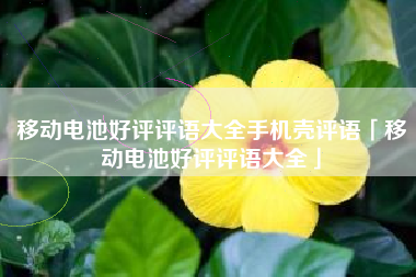 移动电池好评评语大全手机壳评语「移动电池好评评语大全」 移动电池好评评语大全手机壳评语「移动电池好评评语大全」