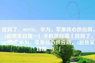 找到了，002938，华为、苹果核心供应商，A股独家且唯一！手机供应商「找到了，002938，华为、苹果核心供应商，A股独家且唯一！」