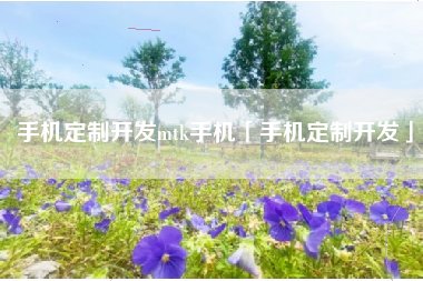 手机定制开发mtk手机「手机定制开发」