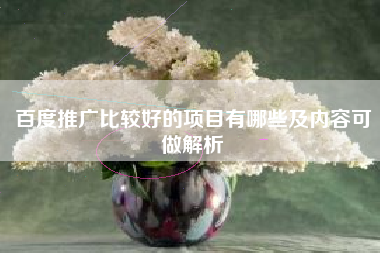 百度推广比较好的项目有哪些及内容可做解析