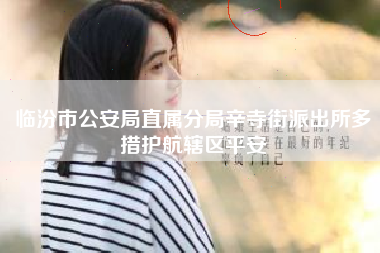 临汾市公安局直属分局辛寺街派出所多措护航辖区平安