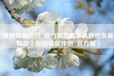 数据恢复伴侣  官方版万能手机数据恢复软件「数据恢复伴侣  官方版」